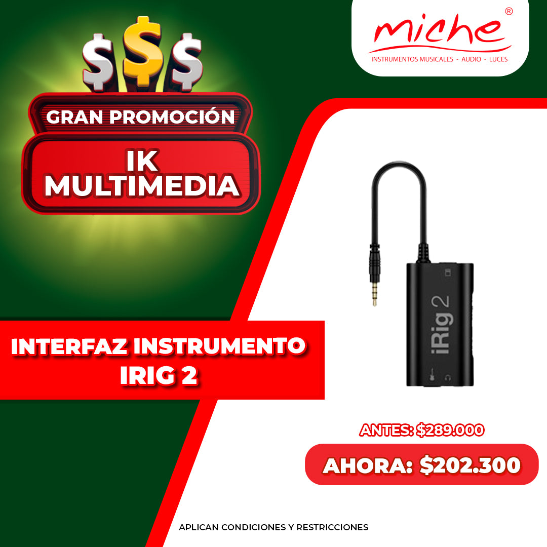 INTERFAZ INSTRUMENTO IRIG 2 PROMO DIAS IK