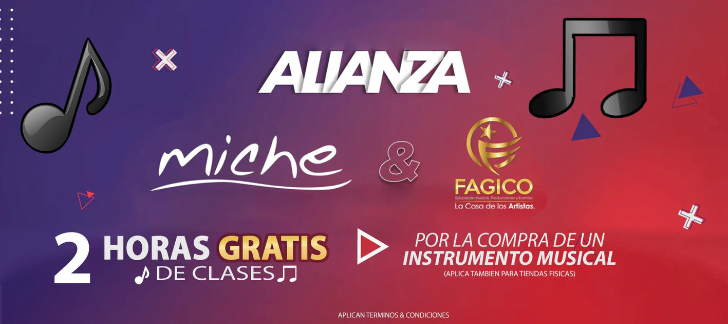 GRAN ALIANZA MICHE Y FAGICO LA CASA DE LOS ARTISTAS — Página 2 — Miche - Tiendas  Musicales
