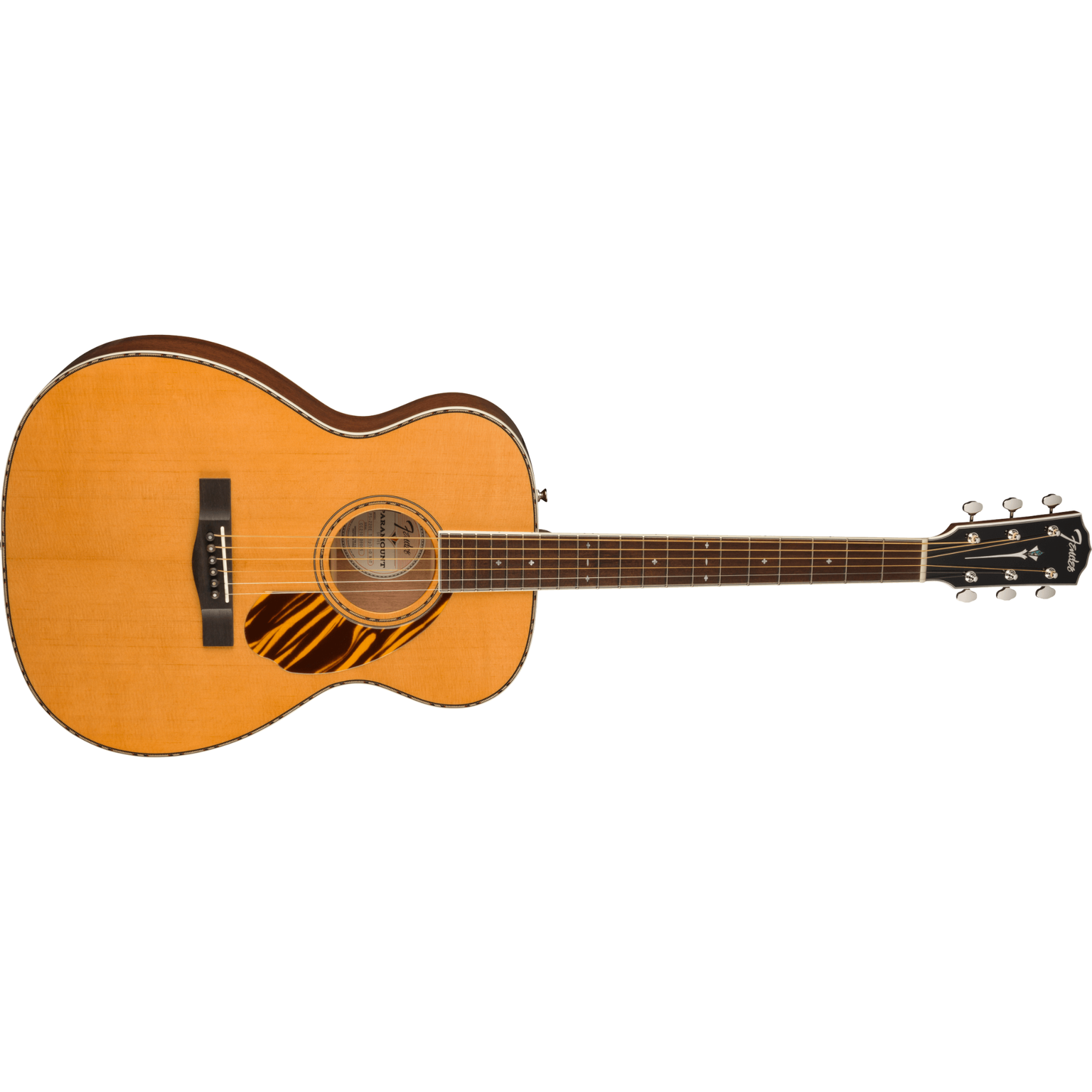 Guitarras Electroacústicas — Miche