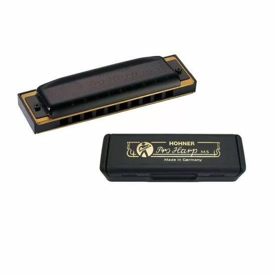 ARMONICA HOHNER PRO HARP 20 DO M564016X