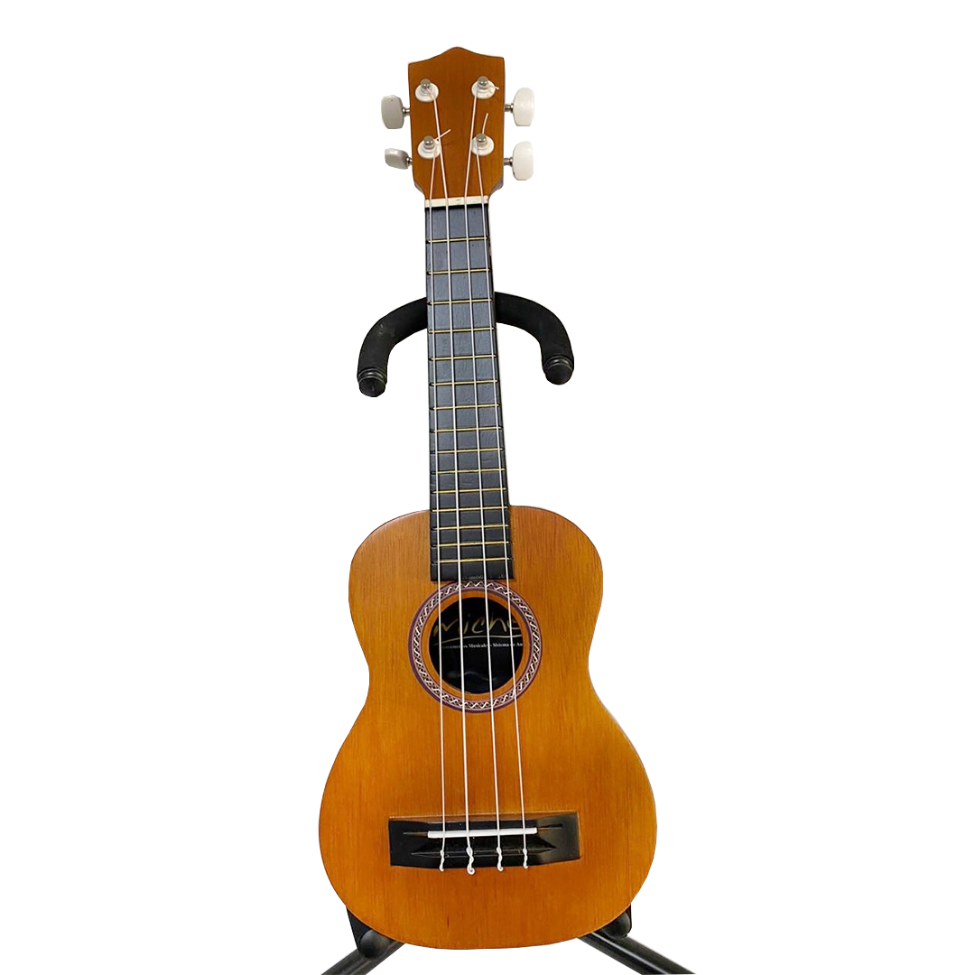 UKELELE AC MICHE 21" V/COLORES